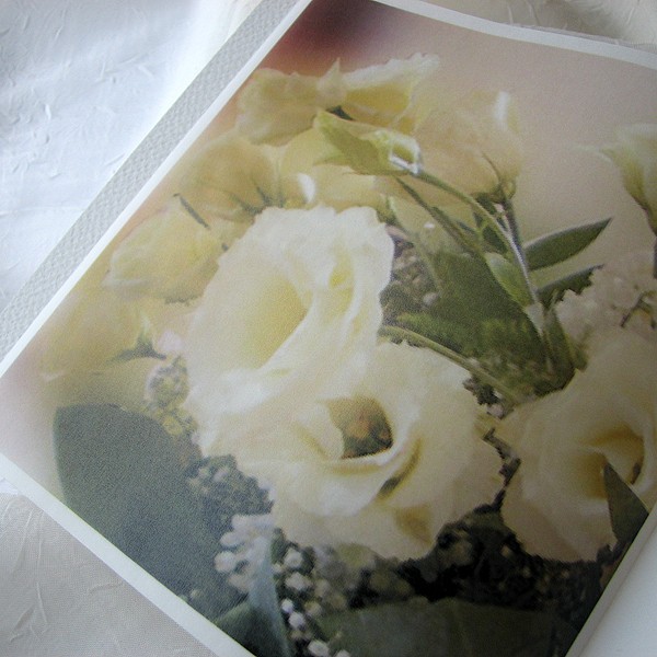Cała Kolekcja Zaproszenie 1731 6 Eustoma